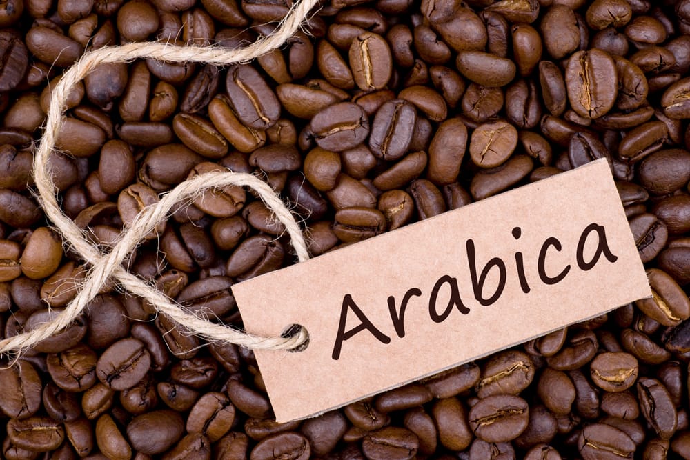 tipos de cafe arabica